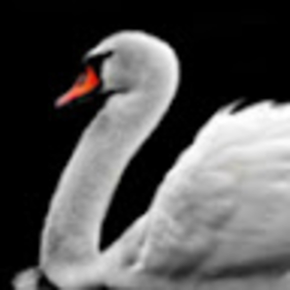 tely911